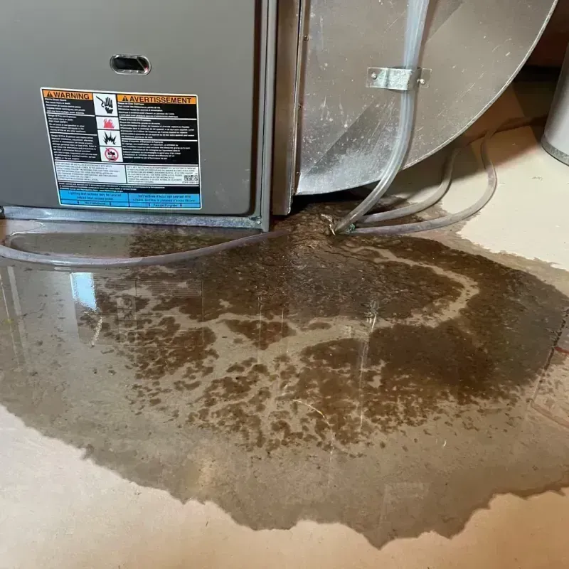 Appliance Leak Cleanup in South Chicago, IL